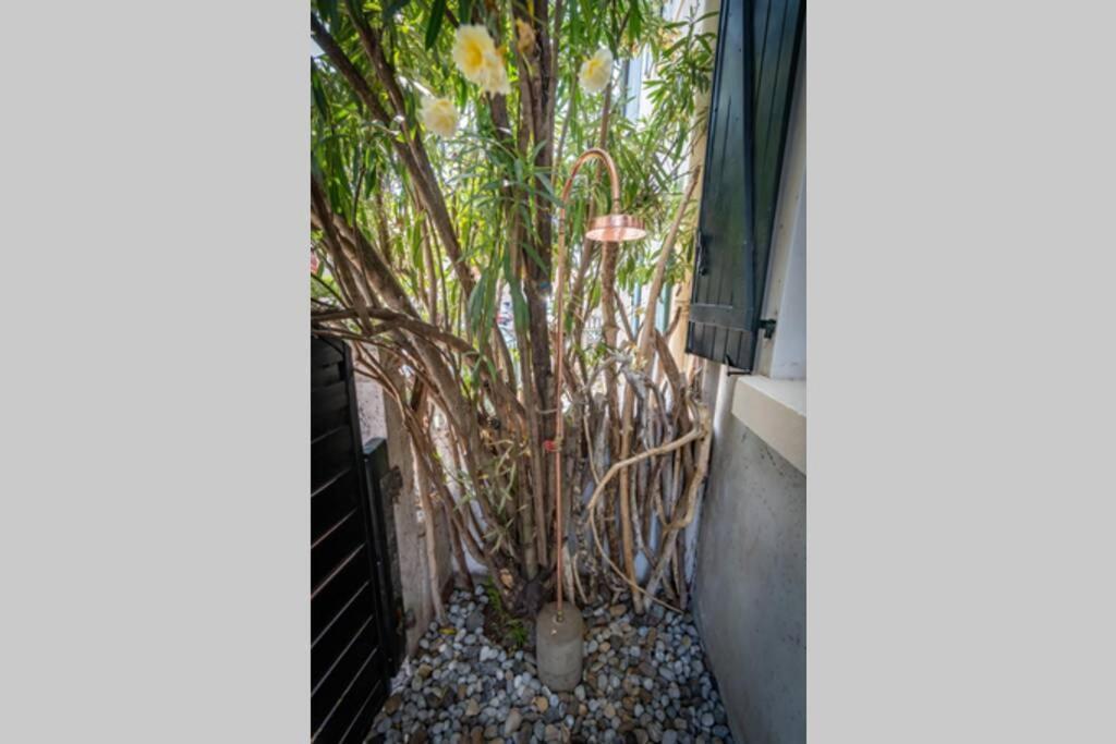 Cote Des Basques, Terrasse, Confort Et Qualite เบียริตซ์ ภายนอก รูปภาพ